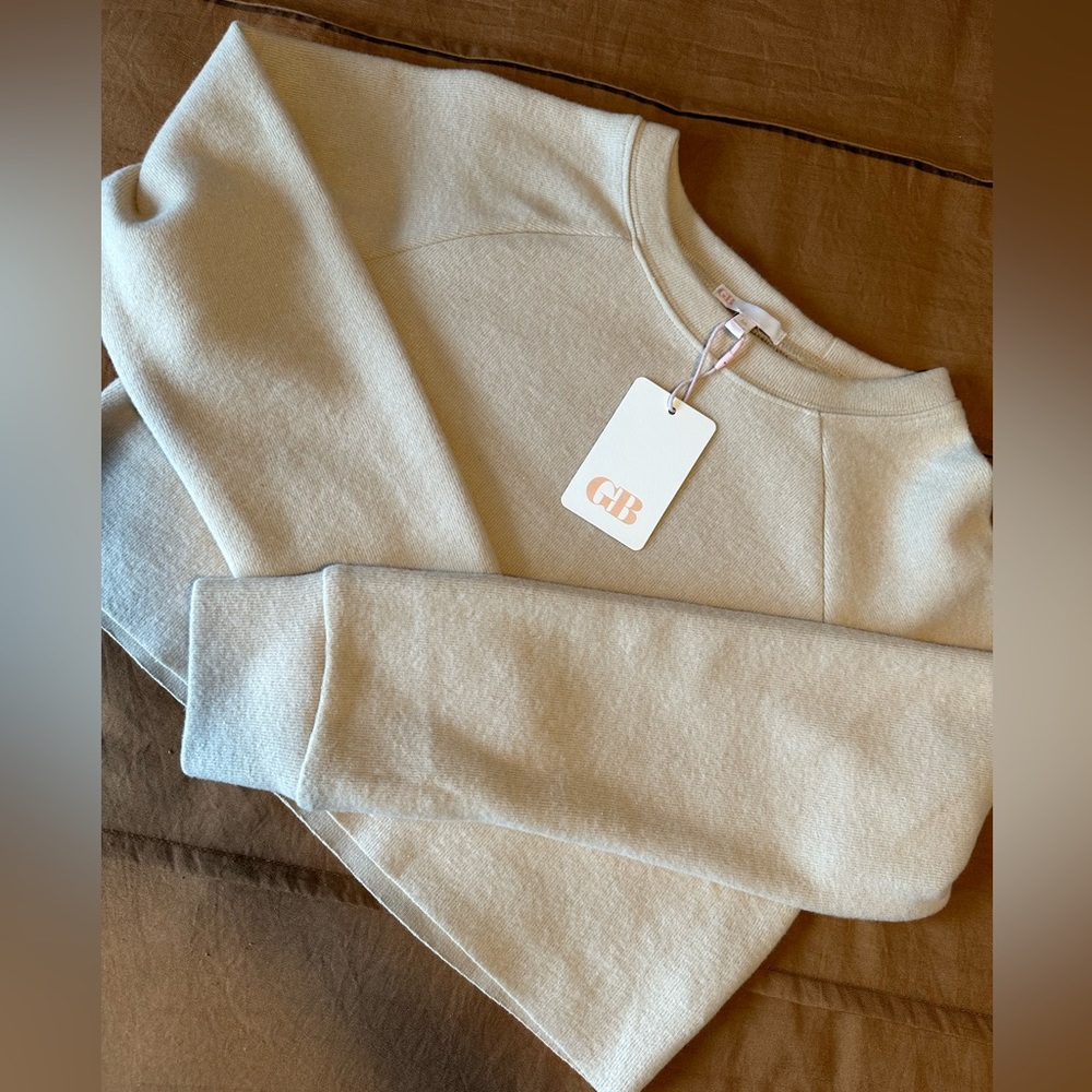 Gianni Bini crop sweater